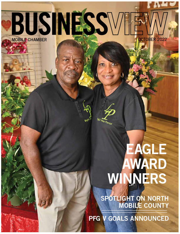 business view cover